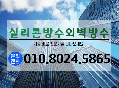 고양실리콘방수외벽방수